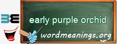 WordMeaning blackboard for early purple orchid